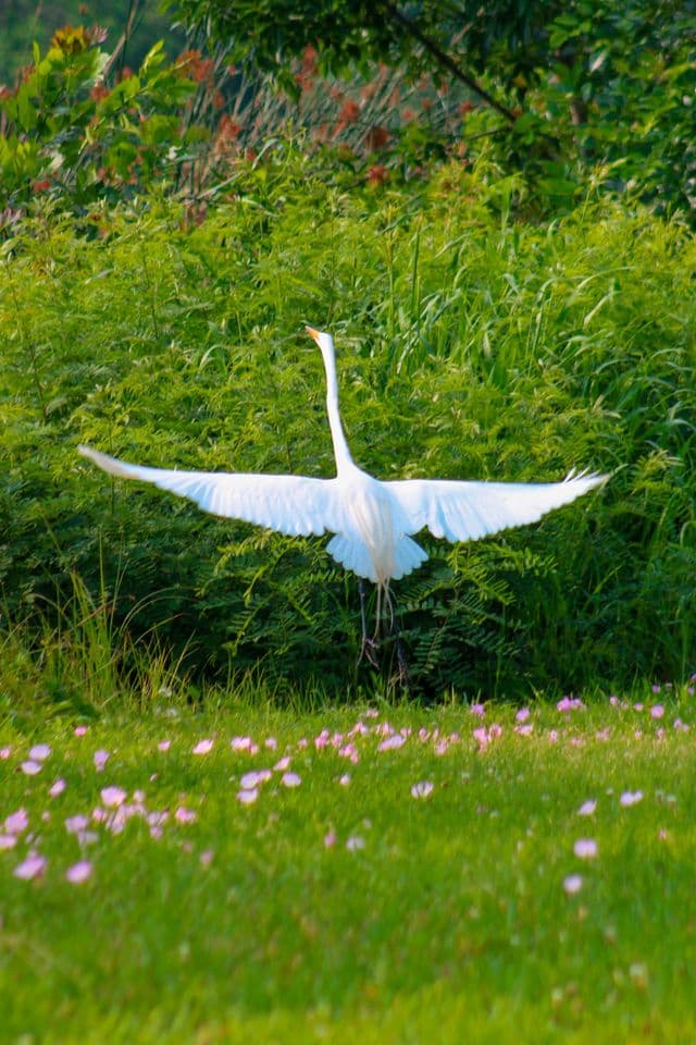 Outdoor landscape with sky and distant shapes on the horizon