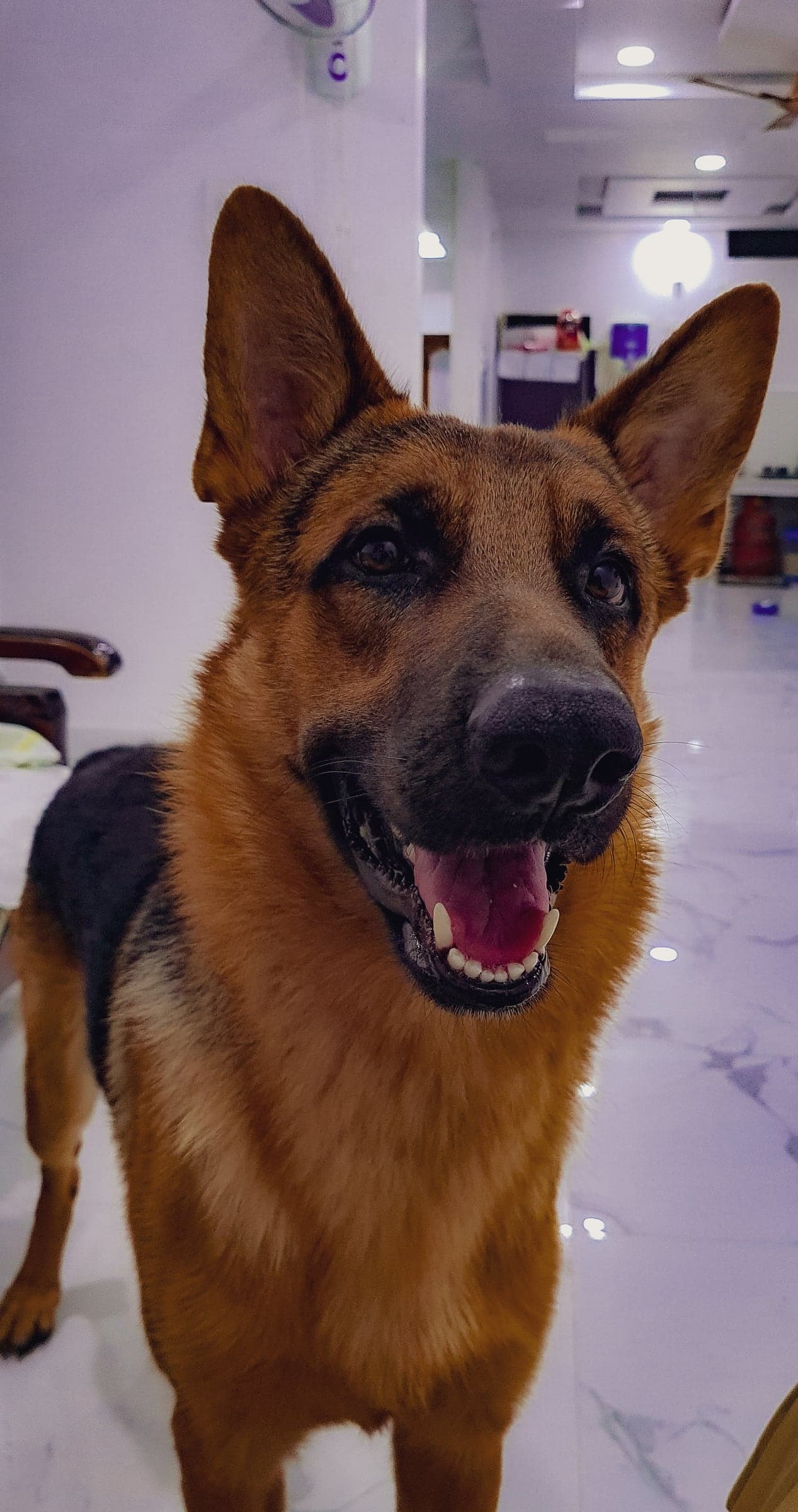 Assembly analytics dashboard and manufacturing charts