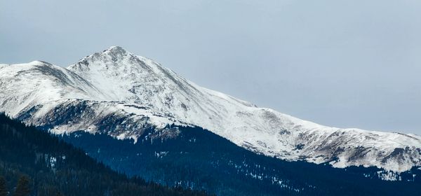 Snow-capped mountain peaks rise majestically above a dark, dense pine forest under a soft, overcast sky