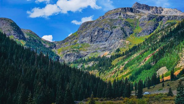 Vast mountain range with a valley of dense evergreen and colorful deciduous trees under a vibrant blue sky