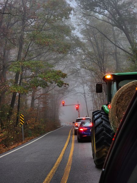 A misty, tree-lined road with cars and a tractor carrying hay stopped at a red light