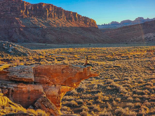 A person sits on a dramatic red rock formation admiring a sprawling desert valley at golden hour