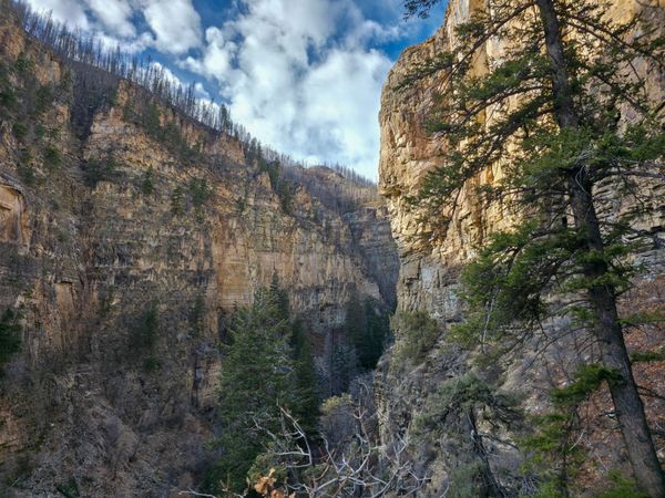 Dramatic view into a deep canyon with towering rock walls, scattered pine trees, and a cloudy blue sky