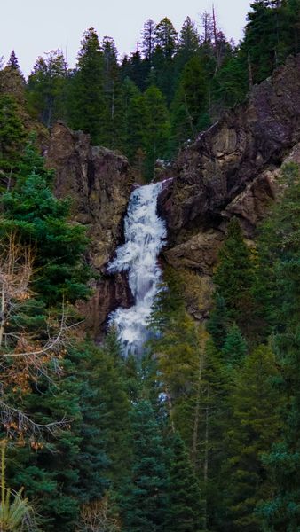 A powerful waterfall cascades down a rugged cliff face amidst dense evergreen forest under a grey sky