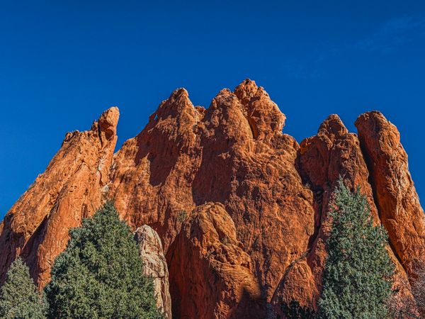 Vibrant red sandstone rock formations towering against a deep blue sky, with dark green evergreen trees in the foreground