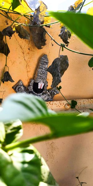 A silver statue of a Hindu deity with a prominent red and white mark, framed by green leaves against an orange wall