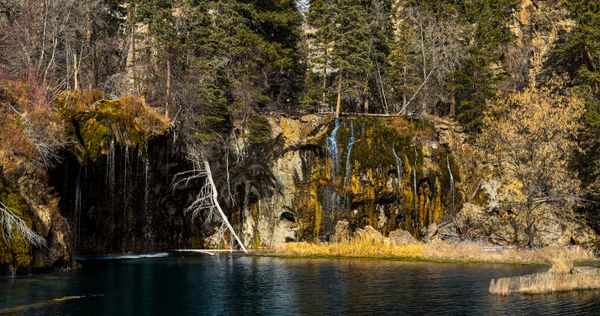 A serene dark lake reflecting mossy cliffs with multiple small waterfalls and dense evergreen and bare trees